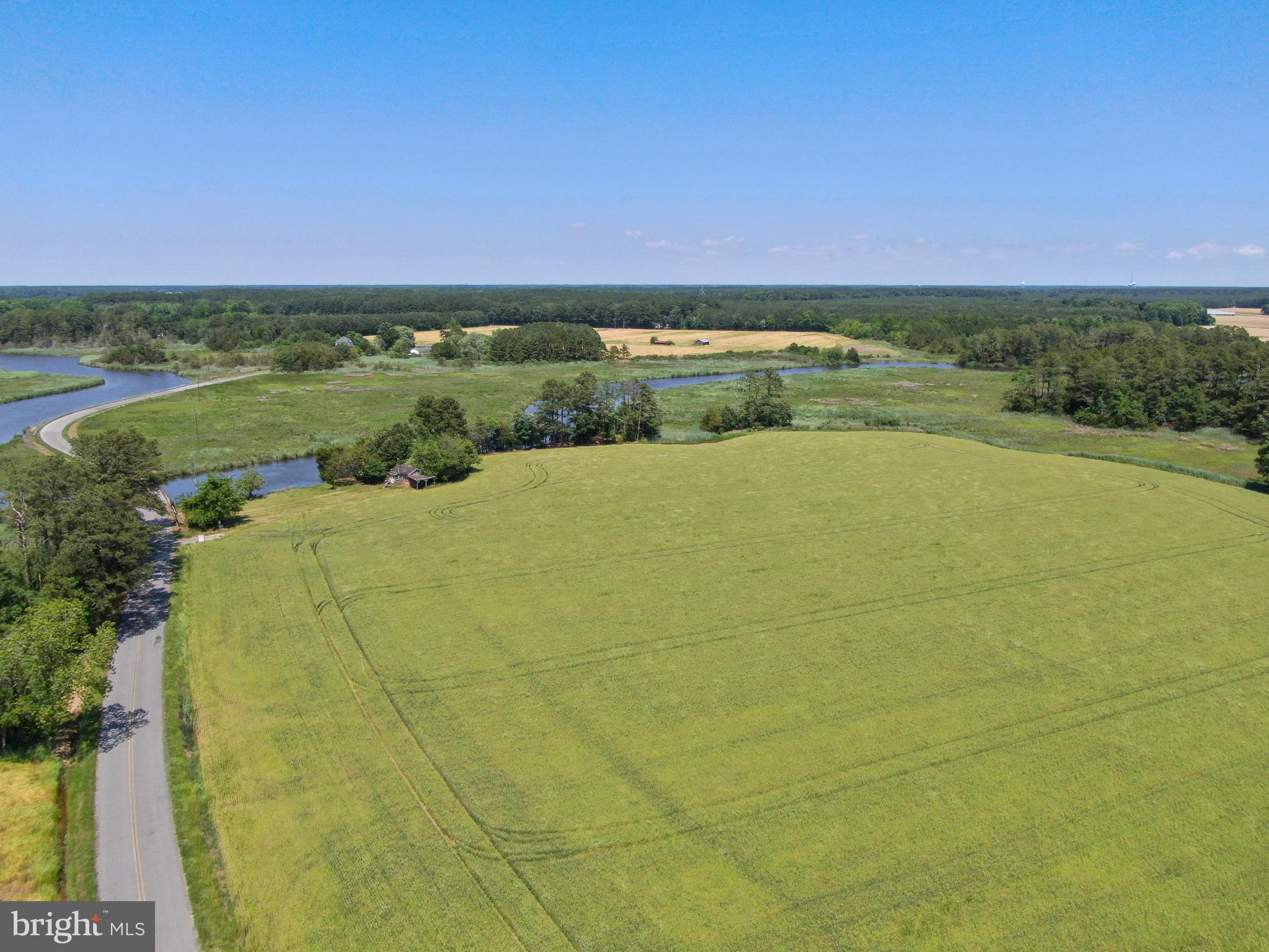 0 Millard Long Road Westover, MD 21871 - Photo 13 of 13 Gallery Image 13