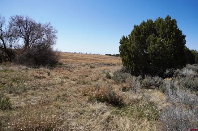 a view of a dry field