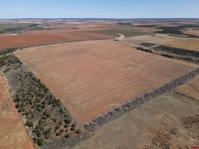 a view of an ocean beach