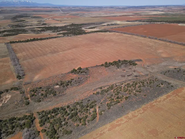 a view of beach and ocean