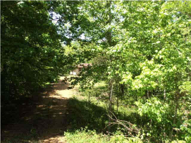 4149 Stonington Road Lorman, MS 39096 - Photo 2 of 11 Photo 2