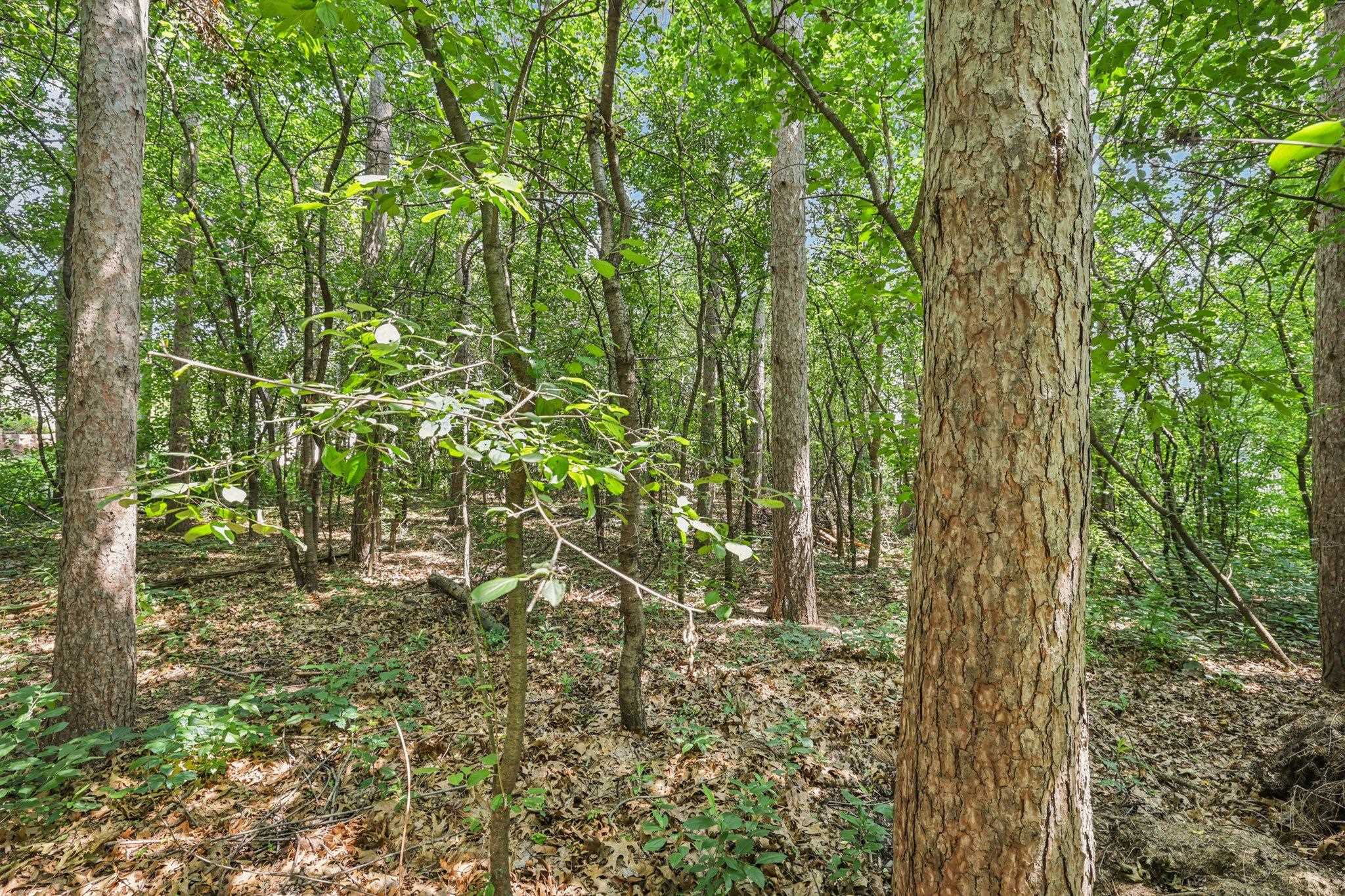 0 Pine Ridge Portage, WI 53901 - Photo 4 of 6