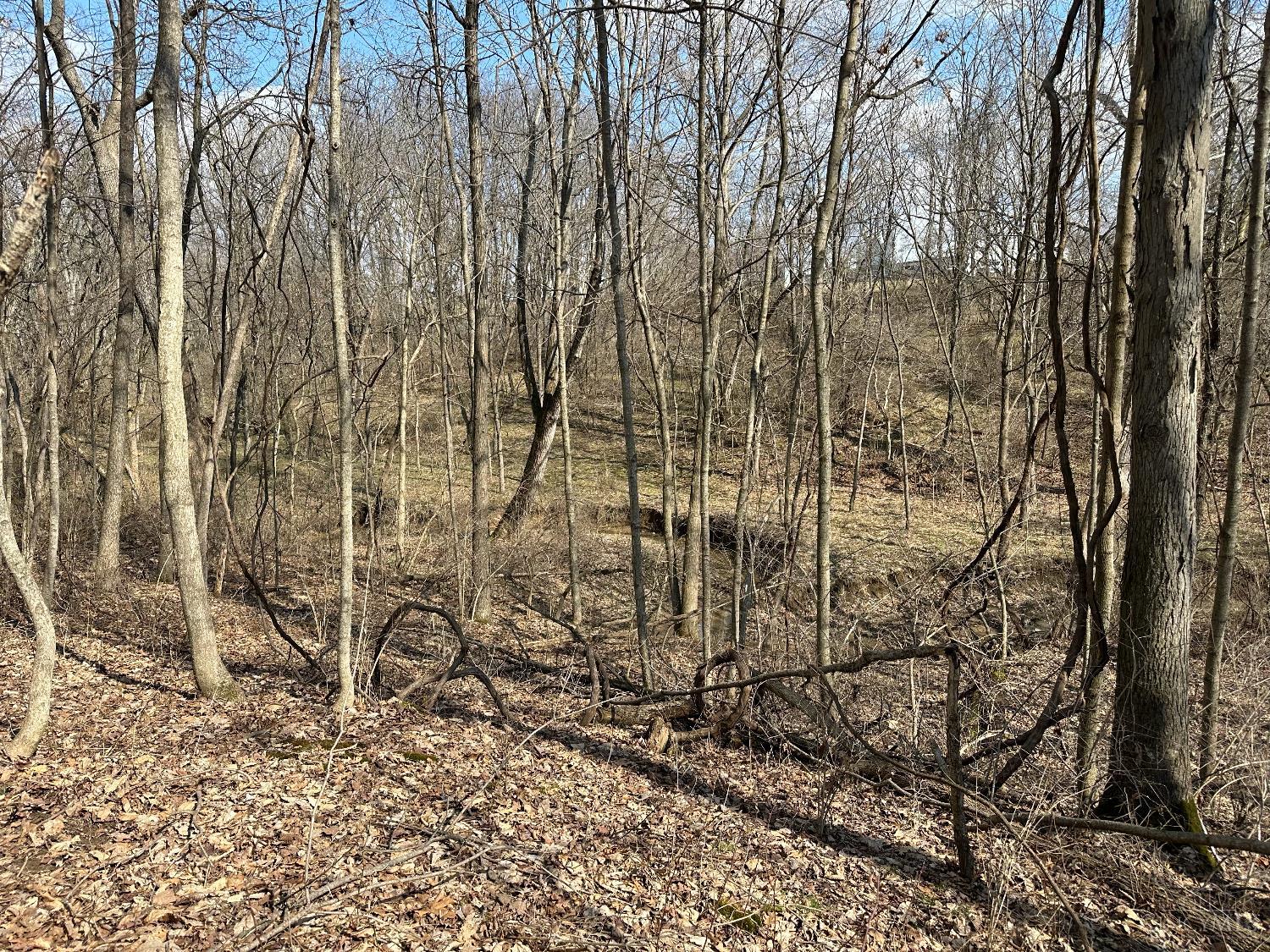 0 Wilson Road Winchester, OH 45697 - Photo 27 of 69