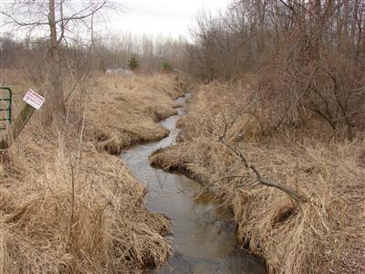 South County Line Road Homer, MI 49245 - Photo 3 of 9 Additional Photo