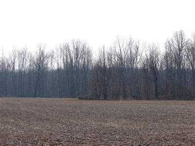 South County Line Road Homer, MI 49245 - Photo 5 of 9 Additional Photo