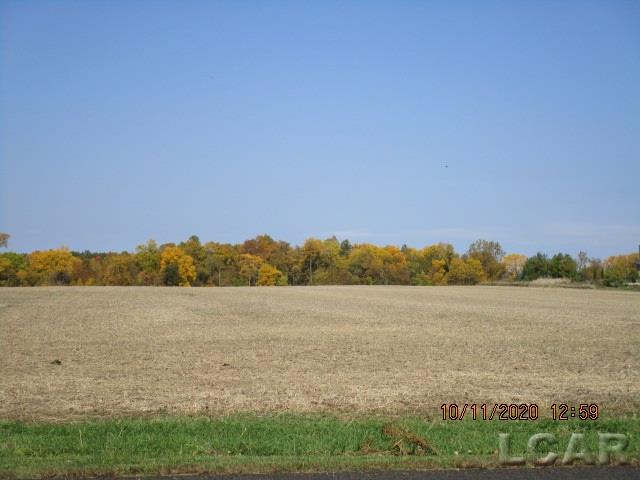 7645 Clinton Macon Road Clinton, MI 49236 - Photo 62 of 65