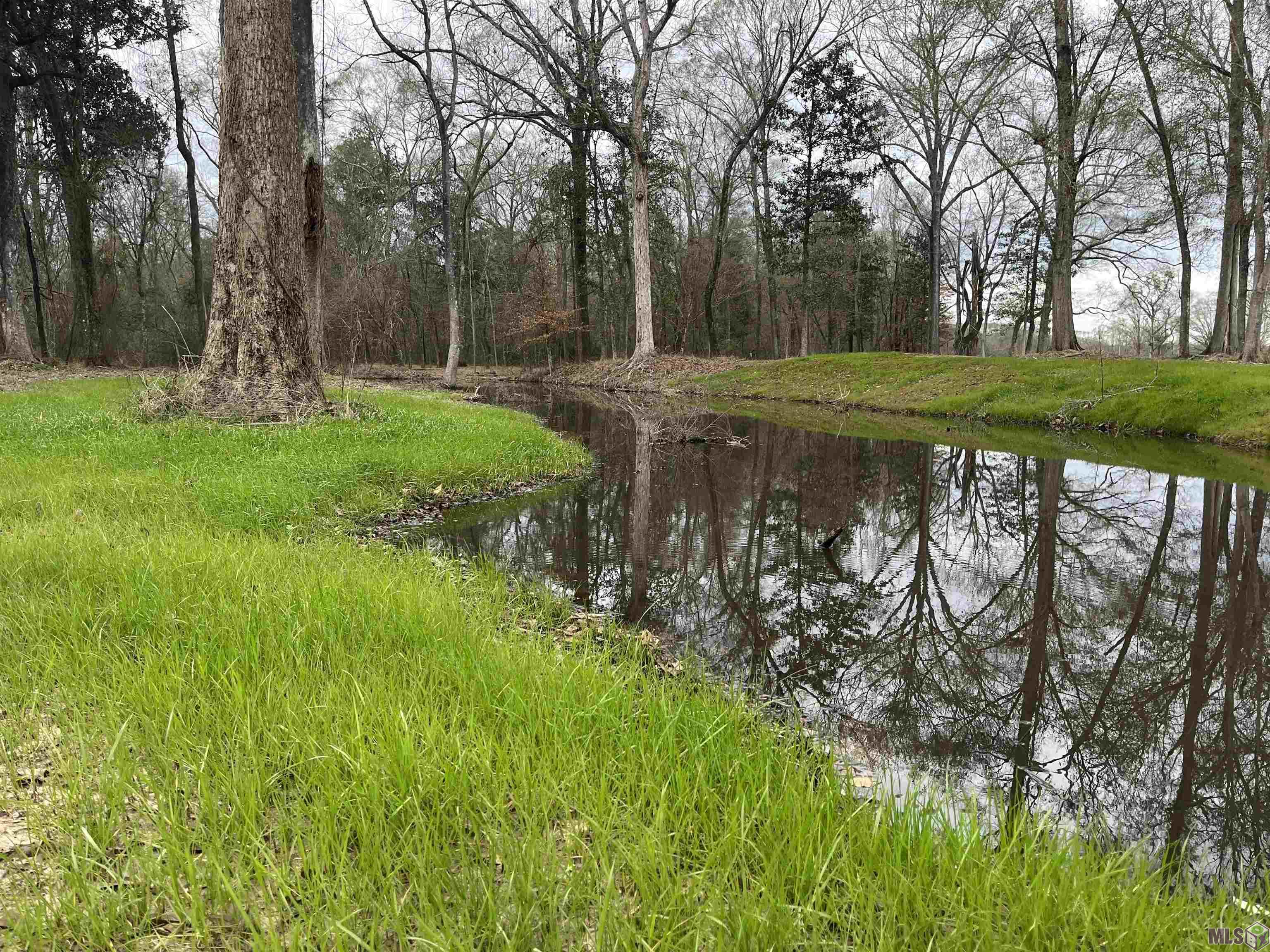 A-1 B Lemon Road Slaughter, LA 70777 - Photo 2 of 9 Doyle Bayou
