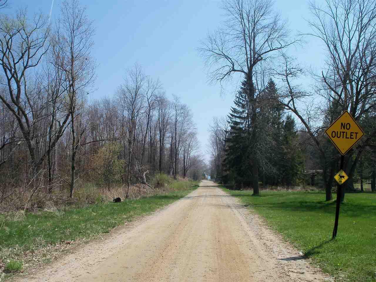 2993 North Lakeshore Road Deckerville, MI 48427 - Photo 21 of 24