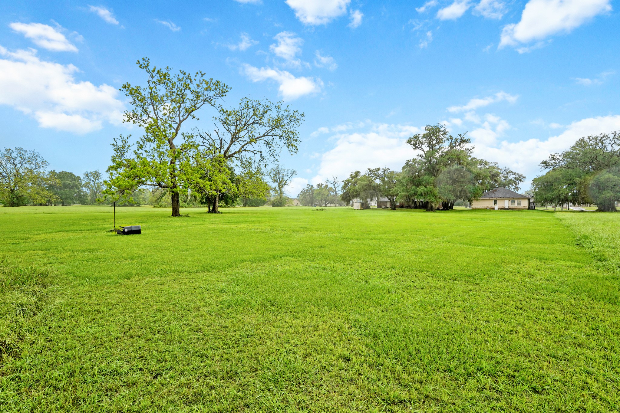 351 Cattle Drive Trail Angleton, TX 77515 - Photo 5 of 27