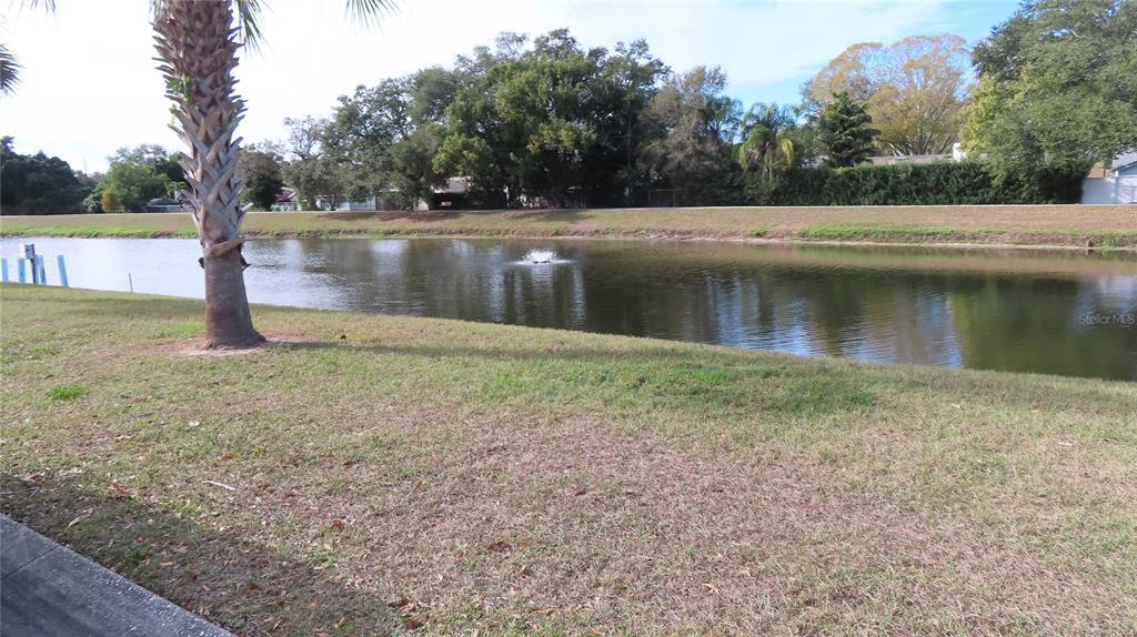 2291 Americus Boulevard West, Unit 7 Clearwater, FL 33763 - Photo 55 of 57 a view of a yard with a tree