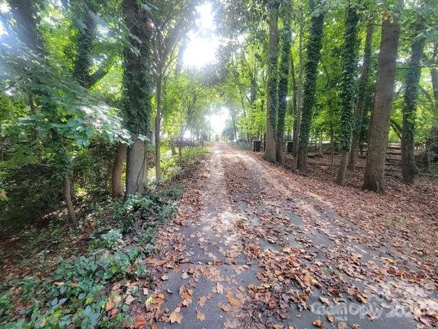 a view of a yard with plants and trees