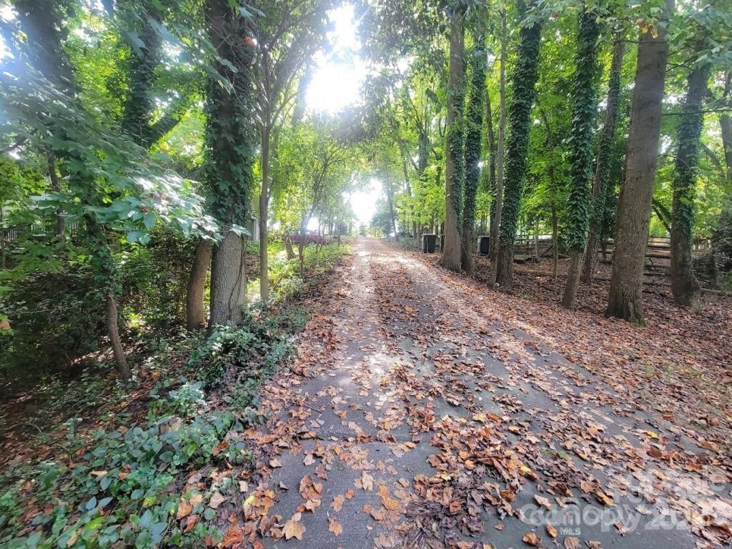 a view of a yard with plants and trees