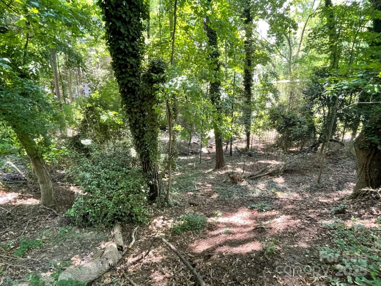 3007 Point Clear Drive Tega Cay, SC 29708 - Photo 2 of 4 a view of outdoor space and trees