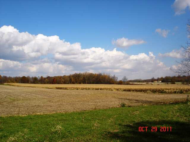 4594 East Brown Road New Castle, IN 47362 - Photo 8 of 10 Gallery Image 8