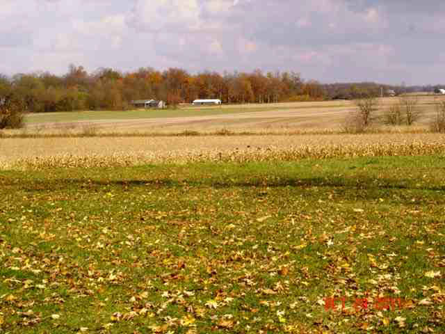 4594 East Brown Road New Castle, IN 47362 - Photo 9 of 10 Gallery Image 9