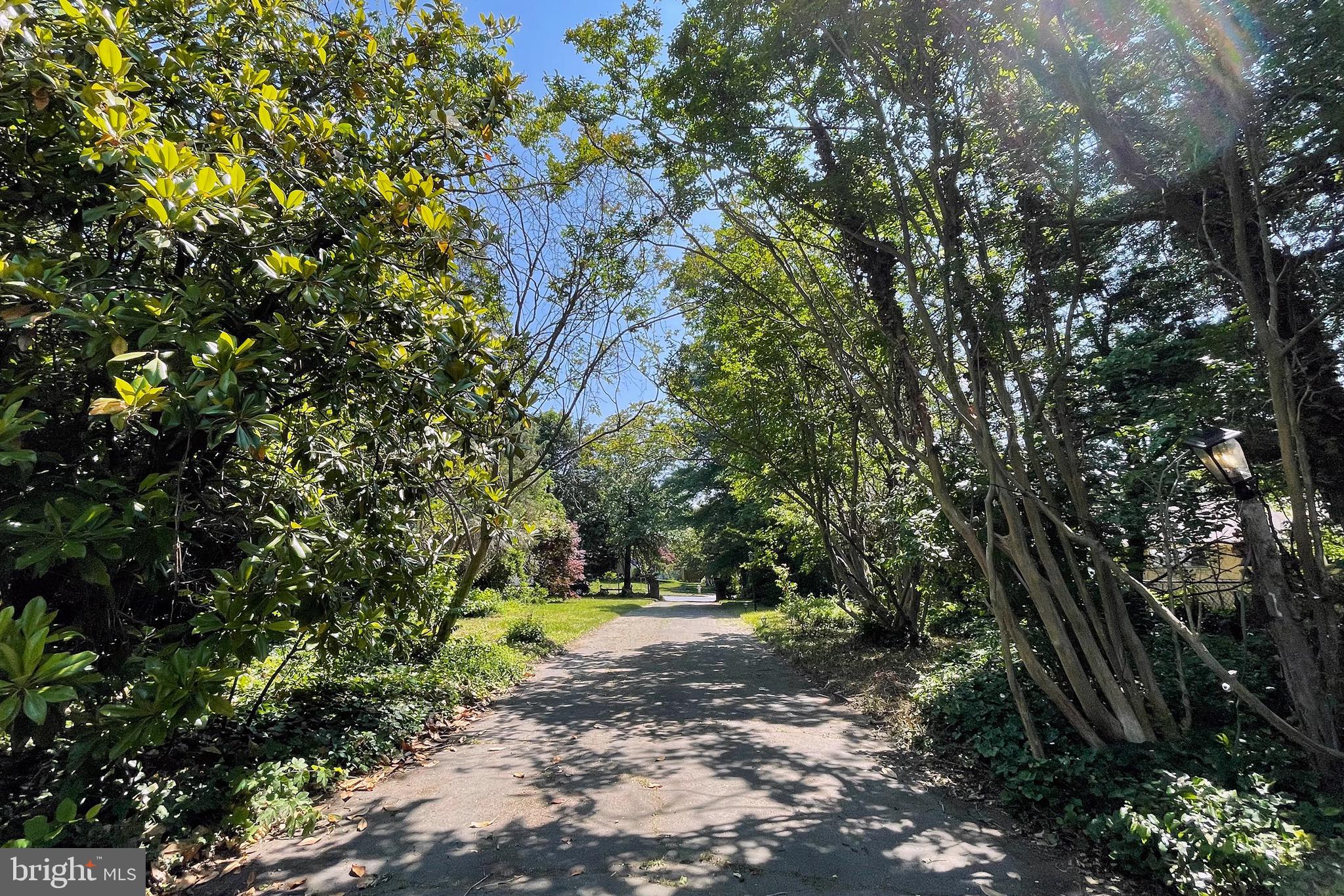 100 Longview Drive Alexandria, VA 22314 - Photo 11 of 53 Drive Way