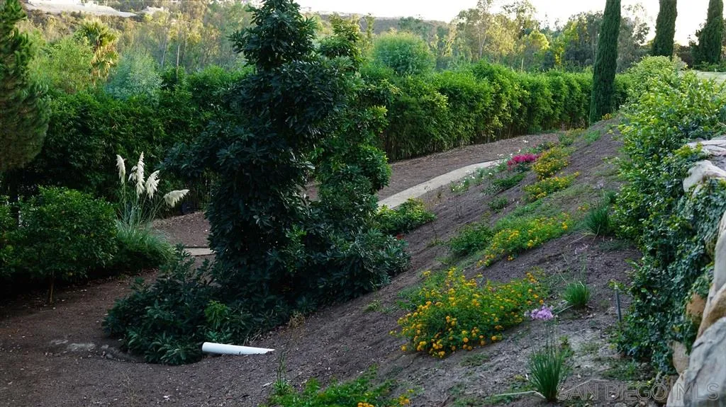 6511 Poco Lago Rancho Santa Fe, CA 92067 - Photo 20 of 24 a view of a garden with plants and large trees
