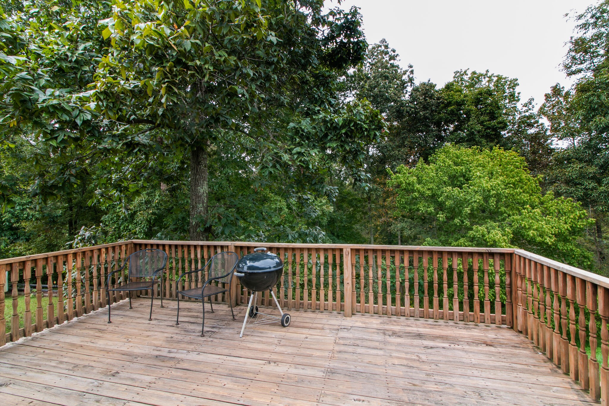 3221 Backridge Road Woodlawn, TN 37191 - Photo 21 of 24 Gallery Image 21