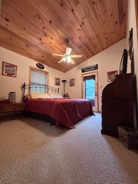 151 Rivers Edge Lane Benton, TN 37307 - Photo 19 of 42 Gallery Image 19