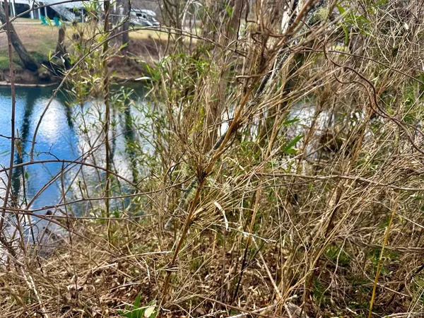 $39,900 | 0 Butterball Boulevard, Murphy, NC 28906