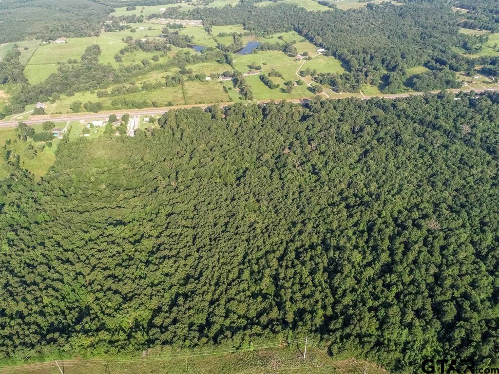 259 & Sego Lily Road Diana, TX 75640 - Photo 21 of 22