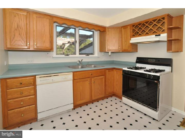 97 Pawnee Road New Britain, PA 18901 - Photo 6 of 18 Kitchen