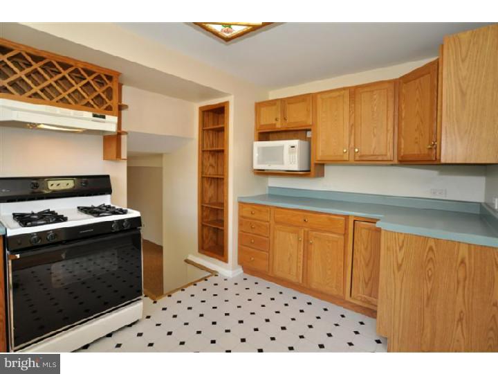 97 Pawnee Road New Britain, PA 18901 - Photo 7 of 18 Kitchen