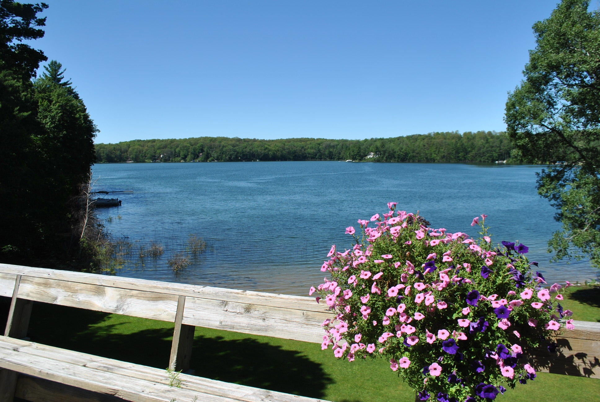 5338 Hallenius Road Gaylord, MI 49735 - Photo 1 of 53 Gallery Image 1