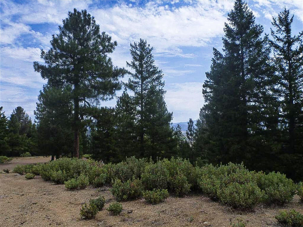 North Kidder Creek Road Etna, CA 96027 - Photo 11 of 22 11-South Kidder Creek00007