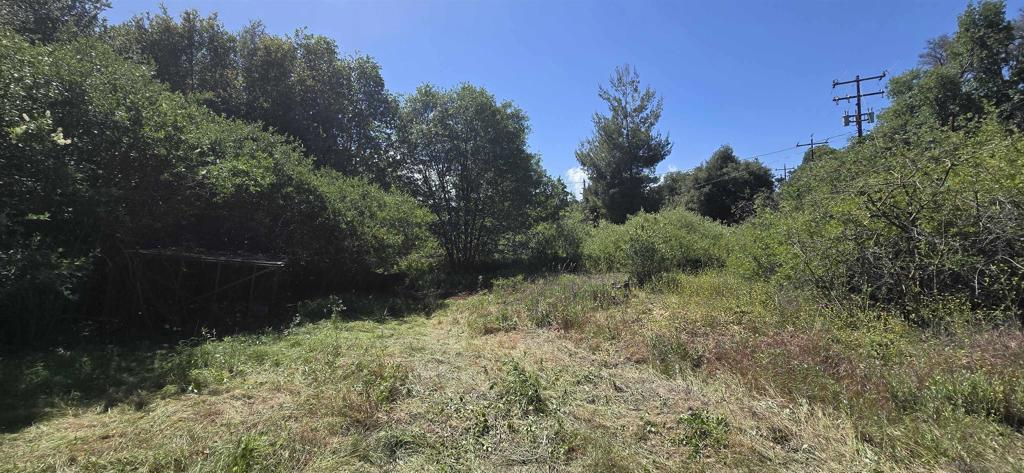 38 Creek Road Julian, CA 92036 - Photo 6 of 16 a view of a yard