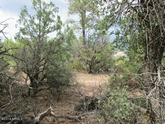 504 Boulder Ridge Road, Unit 241 Payson, AZ 85541 - Photo 4 of 7 Photo 04