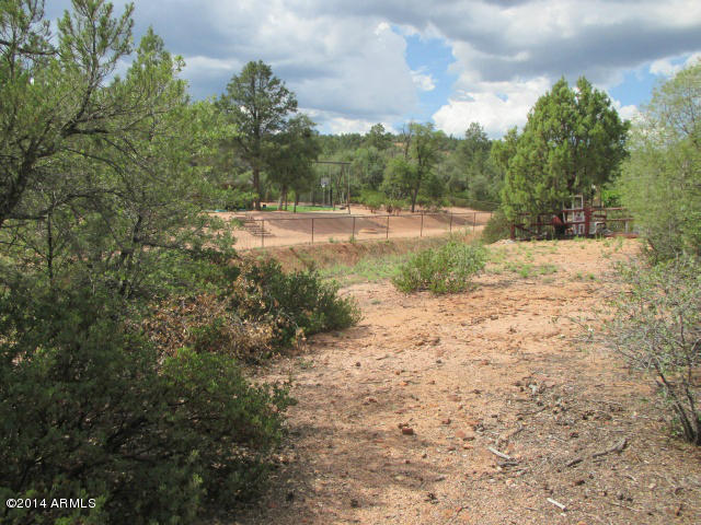 504 Boulder Ridge Road, Unit 241 Payson, AZ 85541 - Photo 5 of 7 Photo 05