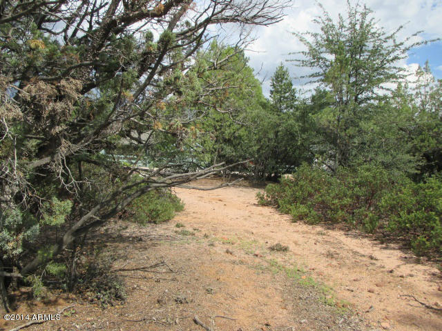 504 Boulder Ridge Road, Unit 241 Payson, AZ 85541 - Photo 6 of 7 Photo 06