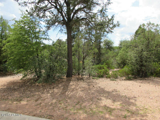504 Boulder Ridge Road, Unit 241 Payson, AZ 85541 - Photo 7 of 7 Photo 07