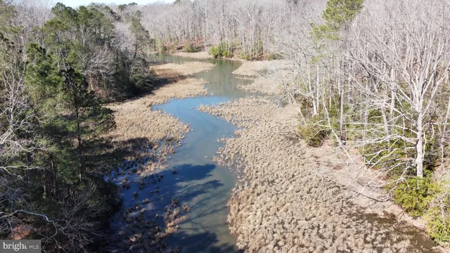 a view of a yard with trees