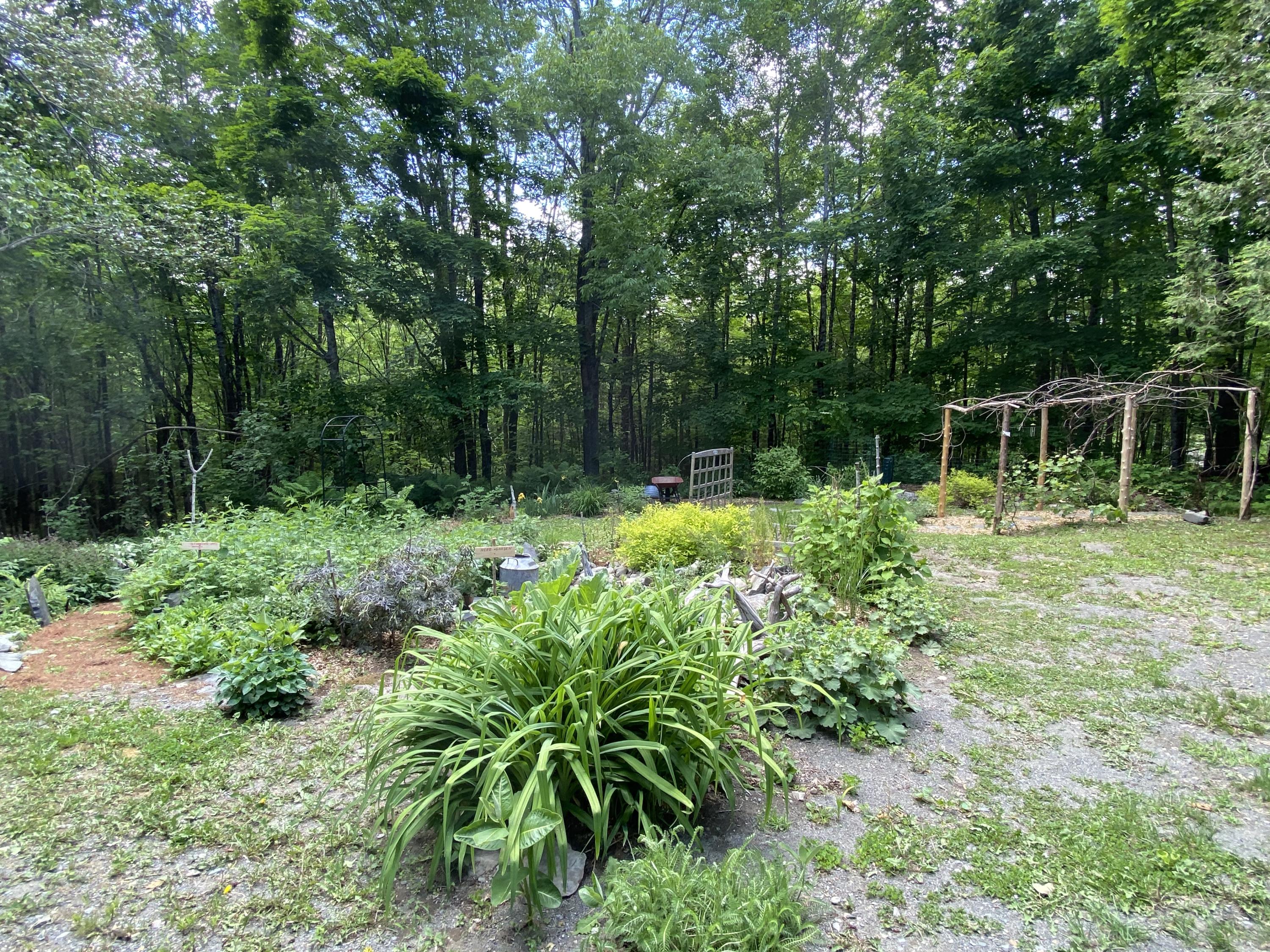 35 Leeman Road Abbot, ME 04406 - Photo 50 of 52 Gardens