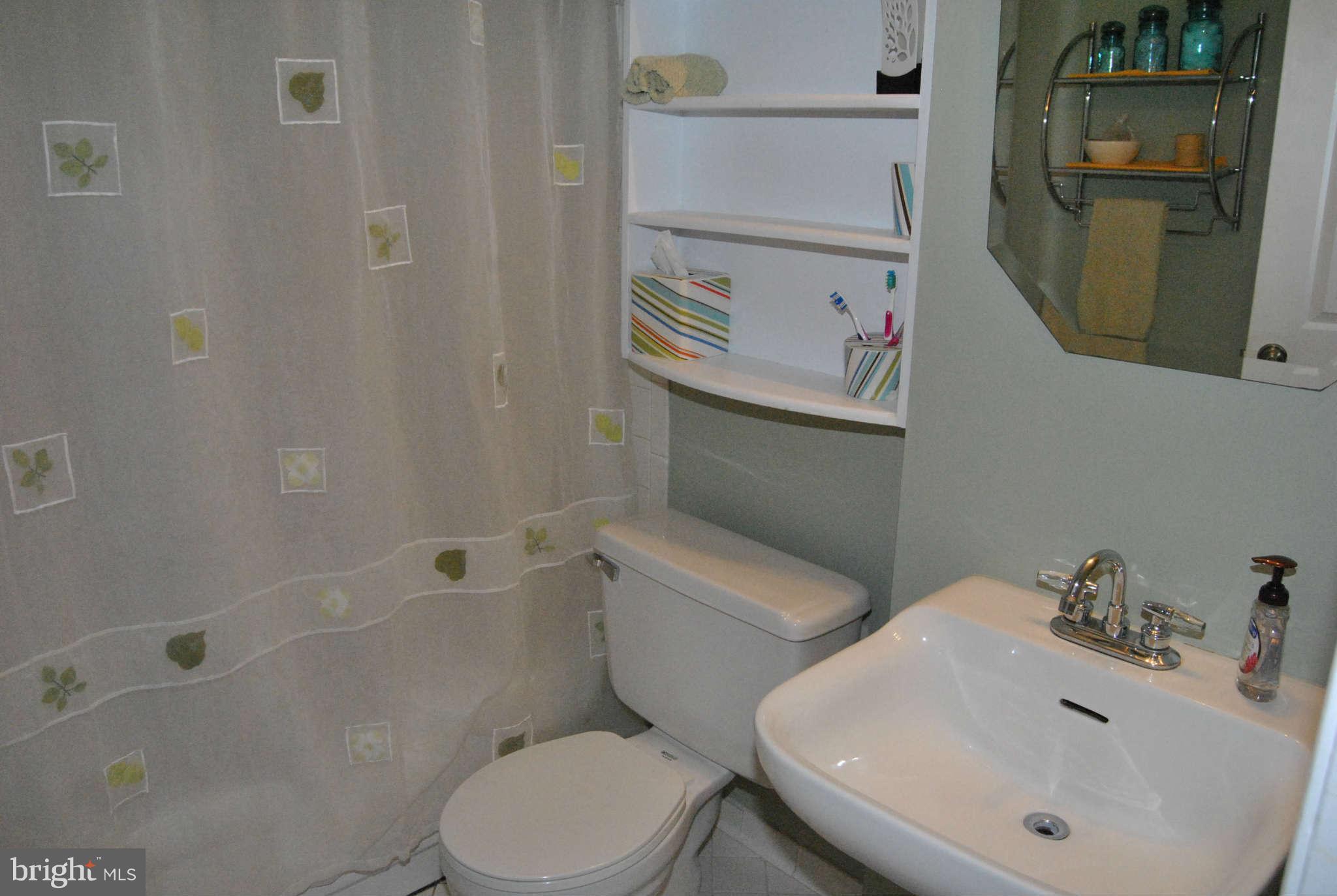 520 E Street Northeast, Unit 13 Washington, DC 20002 - Photo 10 of 15 Bath (Master)