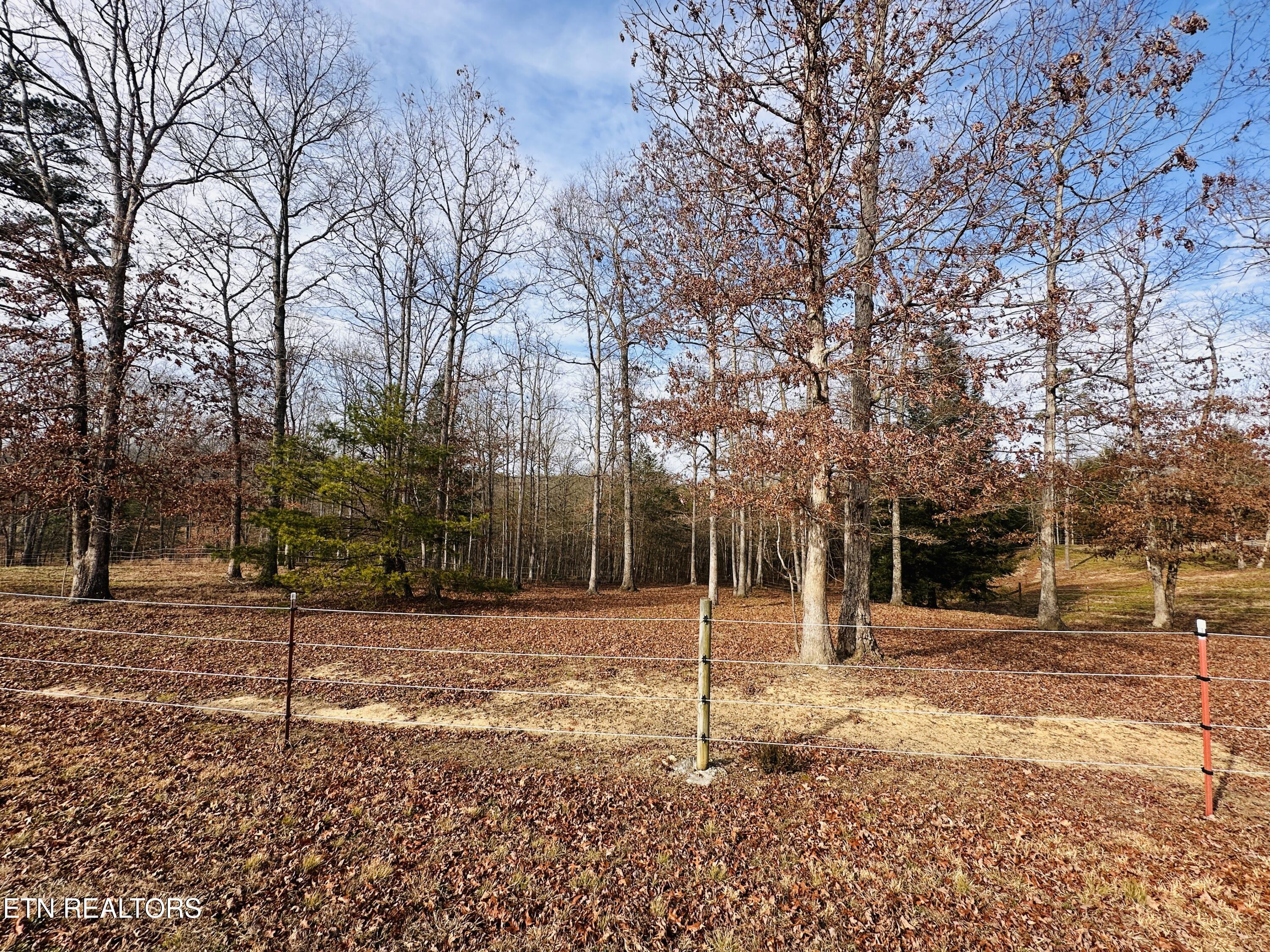 2.37-ac Rockview Road Jamestown, TN 38556 - Photo 8 of 9 IMG_0405