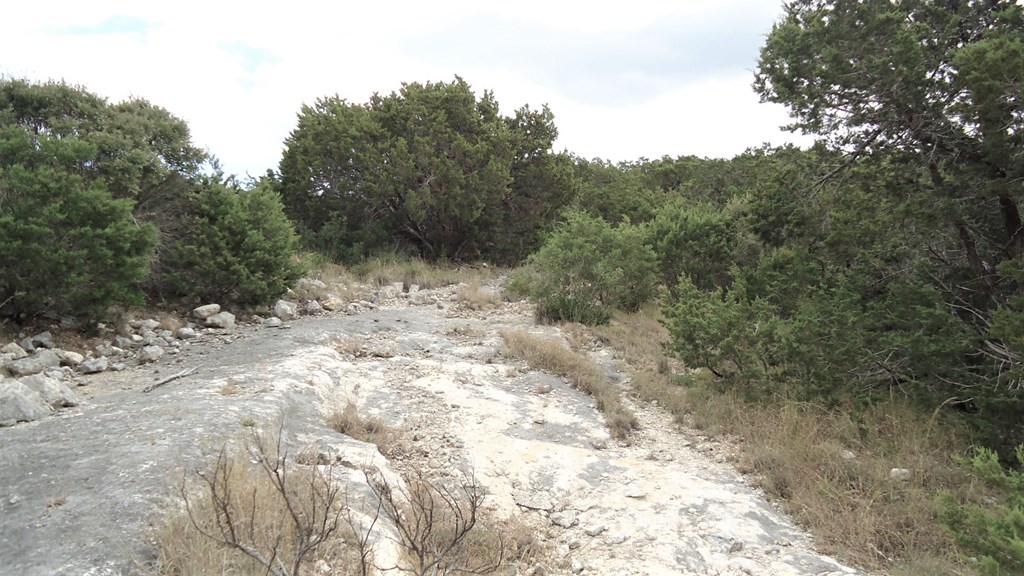 229 Pinon Loop East Camp Wood, TX 78833 - Photo 10 of 24