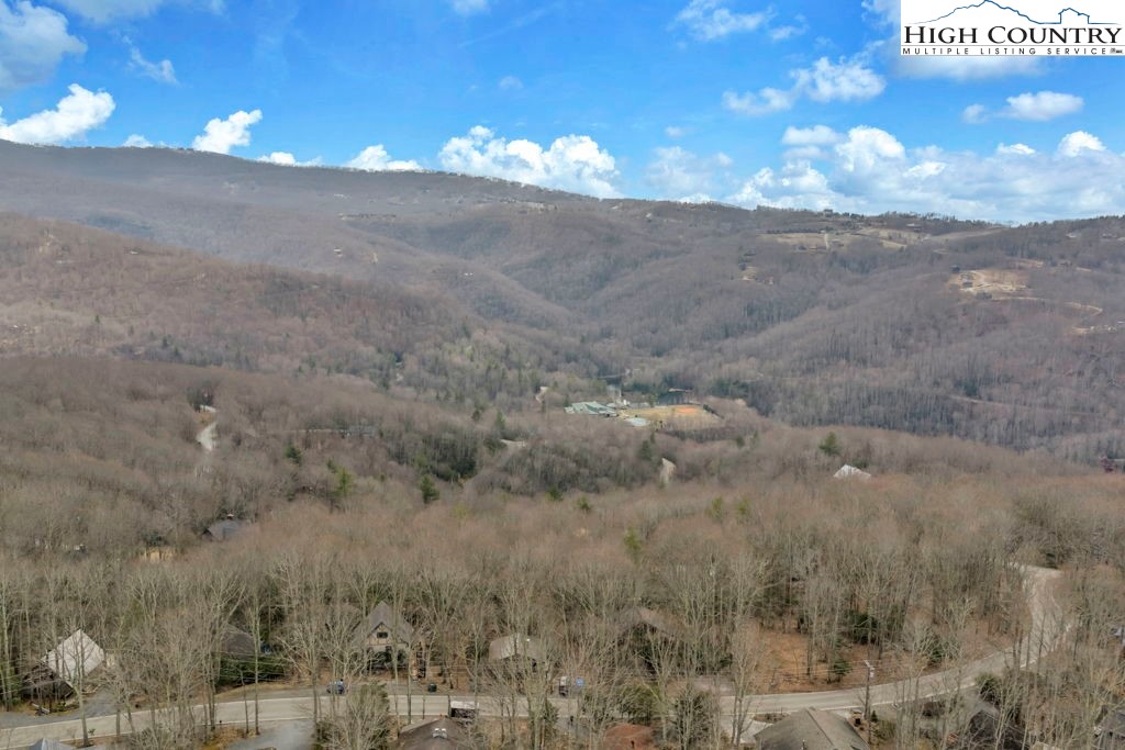 837 Pine Ridge Road Beech Mountain, NC 28604 - Photo 18 of 23 a view of a dry yard