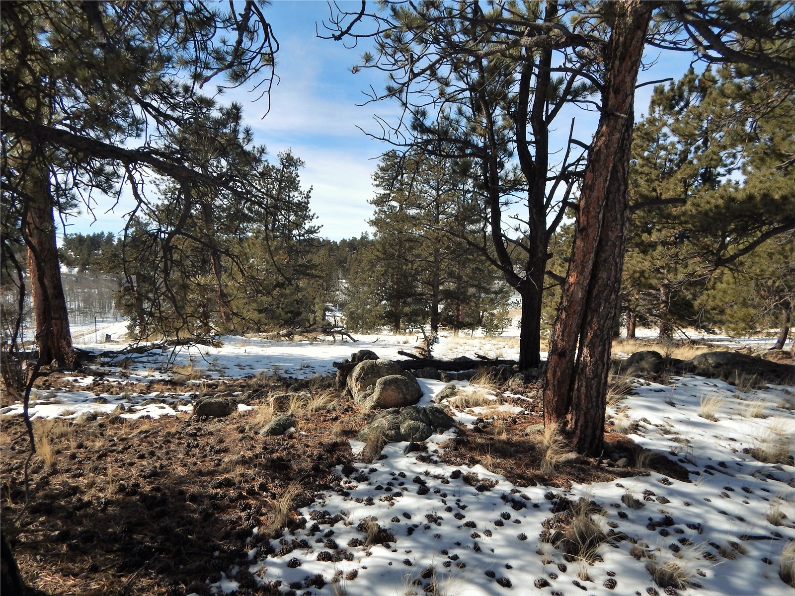 2126 Yellowstone Road Hartsel, CO 80449 - Photo 3 of 15 Gallery Image 3