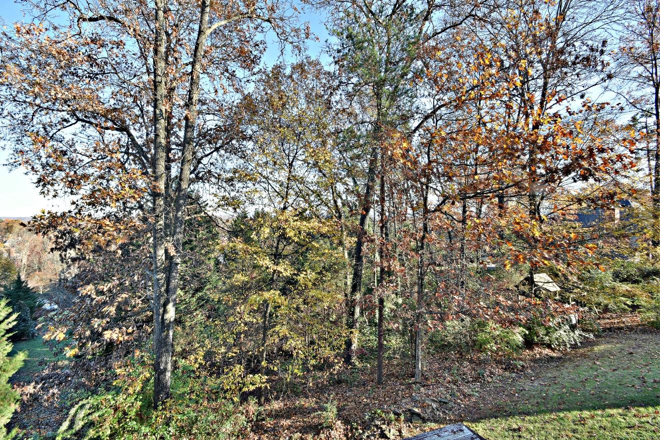 632 Tree Ridge Road Knoxville, TN 37922 - Photo 40 of 40 Wooded lot