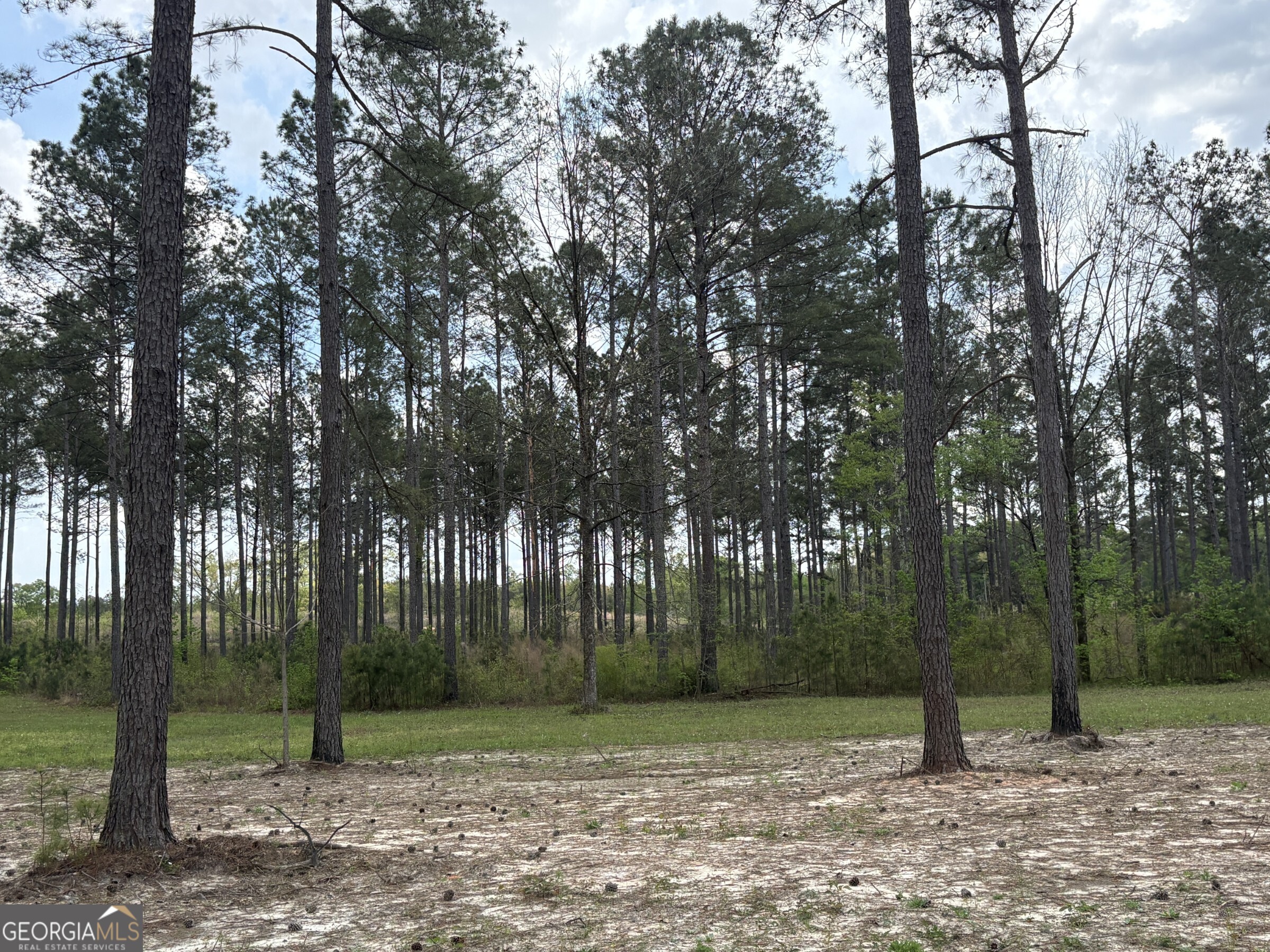 T3 Dc Hardie Road Gordon, GA 31031 - Photo 15 of 18 Gallery Image 15