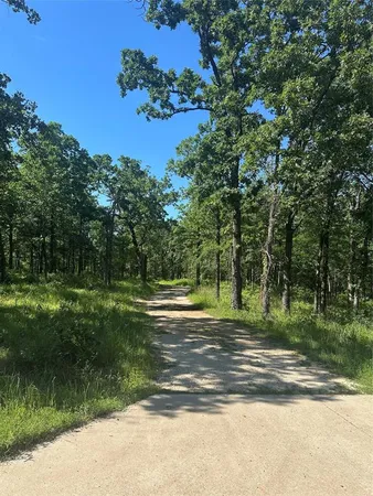 a view of a park