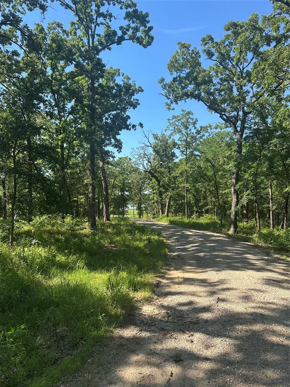 14192 Ridge Lane Malakoff, TX 75148 - Photo 3 of 14 a view of a yard with large trees