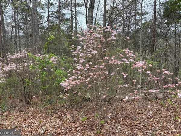 a picture of a tree with a plant