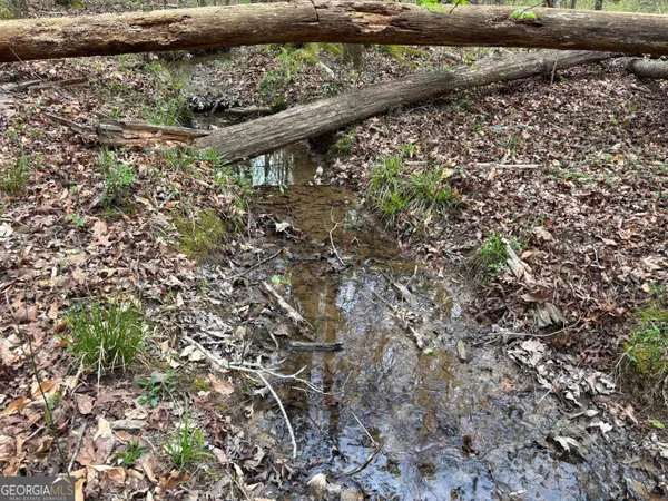 a view of a backyard with fountain