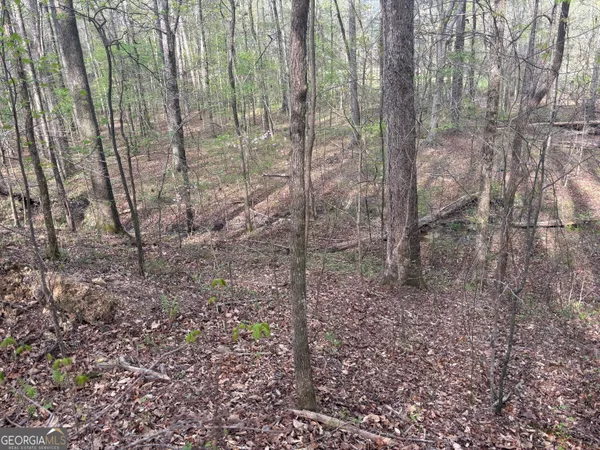 $435,000 | 2246 Neal Gap Road, Summerville, GA 30747