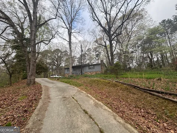 a view of a yard with plants and trees