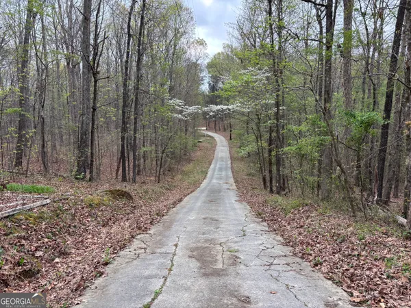 a view of a pathway with a yard